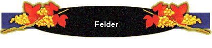 Felder