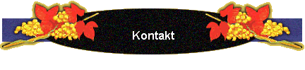 Kontakt